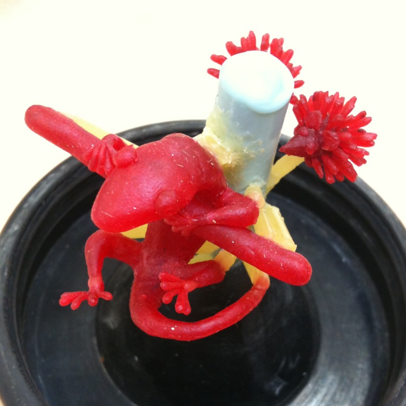 ujo_rocks_story_wax_gecko_hedgehog