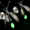 ujo_rocks_buzz_lightbutt_ville_valopylly_firefly_stud_earrings_sterling_silver_glow_in_the_dark_frosted_oxidised_nighttime_front
