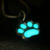 ujo_rocks_paw_pendant_sterling_silver_aqua_glow_in_the_dark_frosted_oxidised_nighttime_front